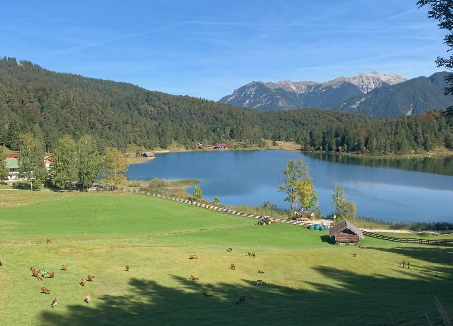 Ferienwohnungen Alpina Wallgau Daire